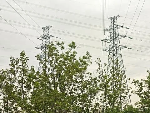 High voltage power lines supported by metal towers rise above green trees u.. Fotos Stock