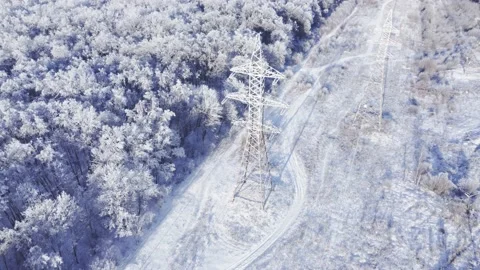 High-voltage power lines through the winter forest. Stock Footage 224923328