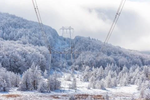 High voltage power lines in the winter. Stock Photos