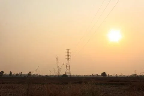 High voltage power pole middle of a cornfield at sunset. Stock Photos