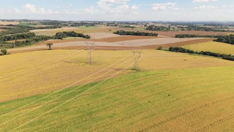High-voltage power poles among beautiful farm fields. Drone footage. Stock Footage 331826948