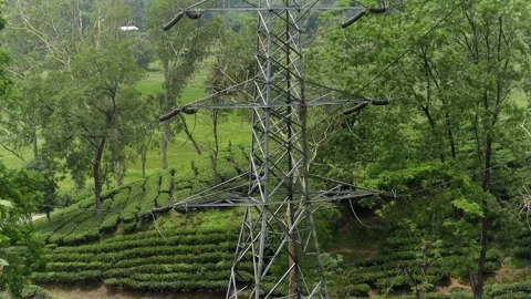High-voltage transmission tower overlooking terraced tea plantation Stock Footage 337927735