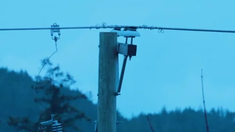 High voltage utility pole insulators and fuse cutout at twilight Stock-Footage 332568597