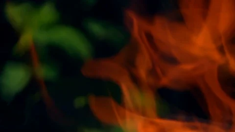 High-volume fire against blur green background. Close up slow motion shot Видео 98741066
