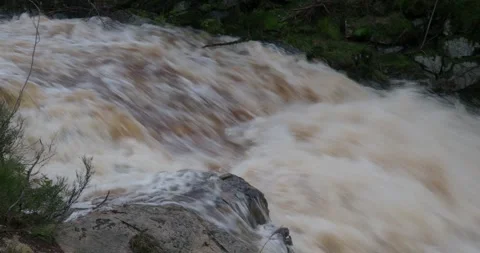 High water flood streaming after heavy rain for days in Harz mountain range GER Stock Footage 259798100