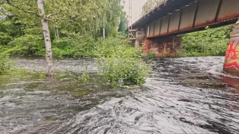 High water flow in the rapids Stock Footage 247631959