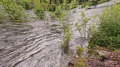 High water flow in the rapids Stock Footage 247631961