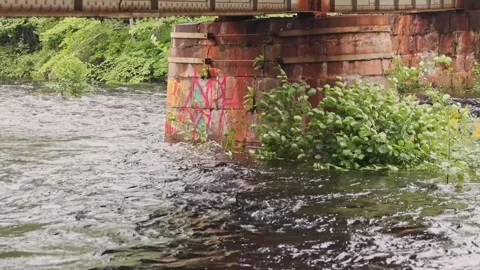 High water flow in the rapids Stock Footage 247631962