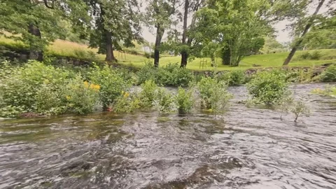 High water flow in the rapids Stock Footage 247631977