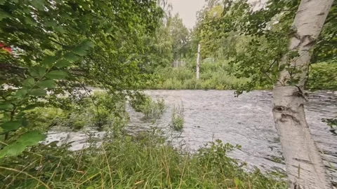 High water flow in the rapids Stock Footage 247631986
