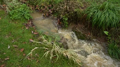High water flow in a stream after heavy rainfall, wide view from above Stock Footage 321462019