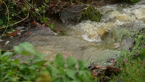 High water flow in a stream after heavy rainfall Stock Footage 321462037