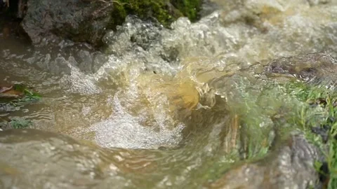 High water flow in a stream after heavy rainfall, close-up view Stock Footage 321462062