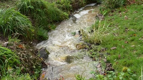 High water flow in a stream after heavy rainfall, seen from above Stock Footage 321462116