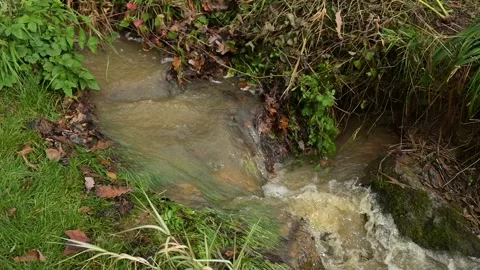 High water flow in a stream after heavy rainfall Stock Footage 321462122