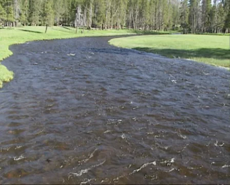 High water level in Firehole river in Yellowstone National Park Stock Footage 35498450