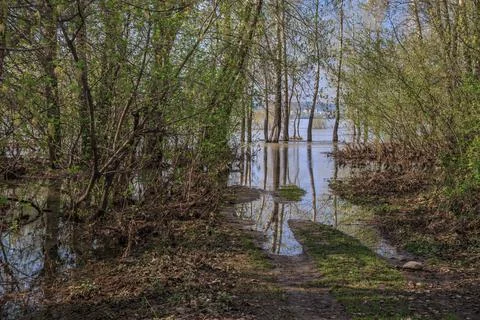 High water Stock Photos
