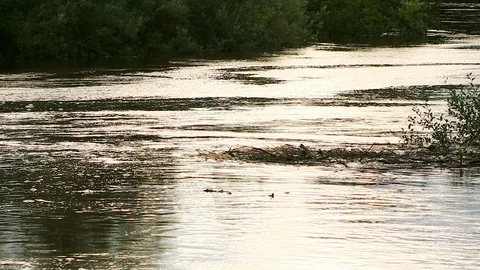High water, River in flood Stock Footage 88951304