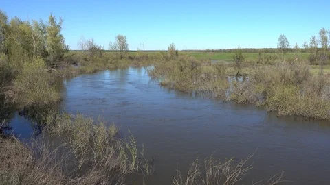 High water on river at spring. Flooded bush. 4K stock video footage Stock Footage 103940215