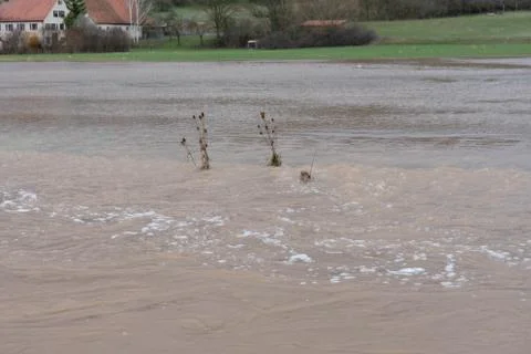 High water of a small river on the fields in spring Foto stock