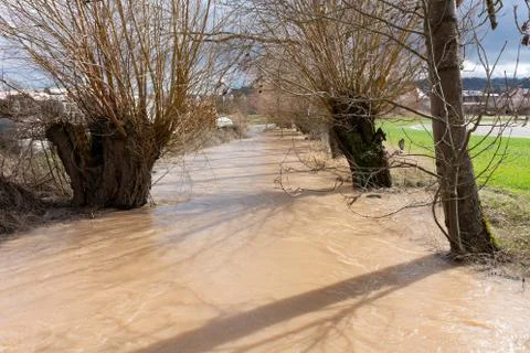 High water of a small river Foto stock
