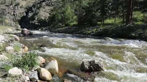 High Water in Springtime Stock Footage 132362436