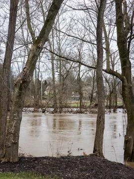High water through the trees Stock Photos