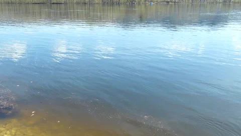 High water on the Volga River in spring. Stock Footage 195456439