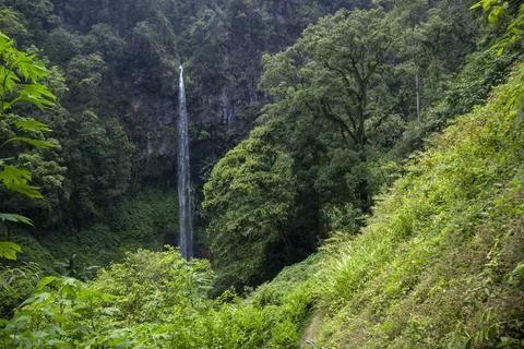 High waterfall between cliffs and wilderness Stock Photos