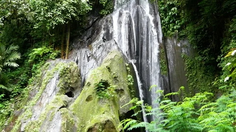 High waterfall in the jungle Stock Footage 147741124