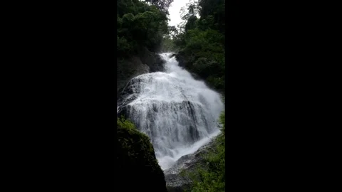 High waterfall in the middle of the forestest Video stock 297632640