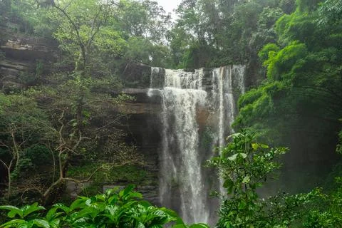 High waterfall with rock layer in the deep forest 스톡 사진