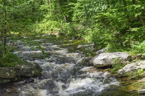 High waters in willard brook Stock Photos