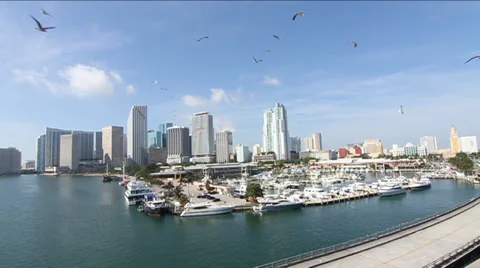 High wide angle shot of Downtown Miami Harbour with Seagulls flying by Stock Footage 39460097