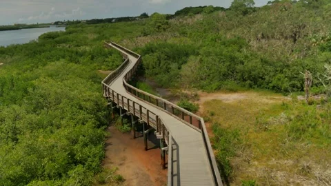 High Wide view from observation tower of Leading Lines of a zig zag wood nature Video stock 284359893