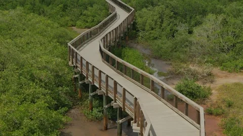 High Wide view from observation tower of Leading Lines of a zig zag wood nature Stock Footage 284360059