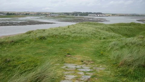 High wind and grass hill at Newburgh beach in Aberdeenshire, Scotland, UK Stock Footage 71160913