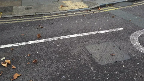 High wind. Stock Footage 171039196