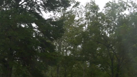 High wind gusts hurricane Helene western NC Stock Footage 292688352