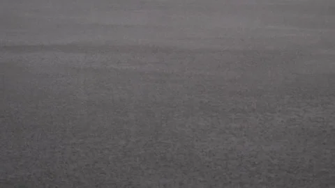 High Wind Heavy Rain Across Lake Stock Footage 316421019