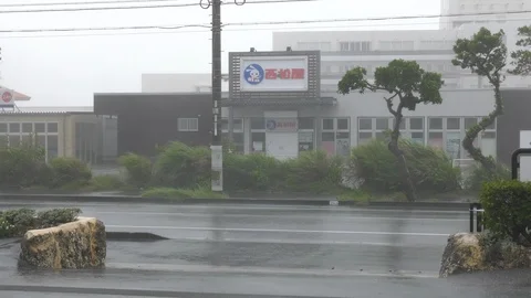 High wind nobody driving Video stock 92844429