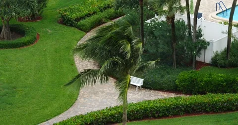 High winds blowing palm tree around next to swimming pool stormy Video stock 213130518
