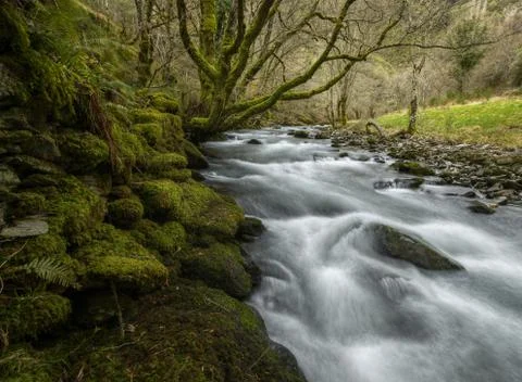 High winter flow in a river between mossy stone walls Stock Photos