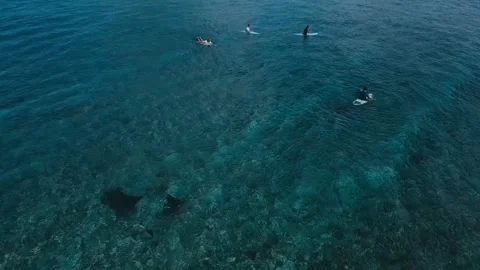 Highdefinition drone shot capturing vibrant underwater coral formations Stock Footage 322033594