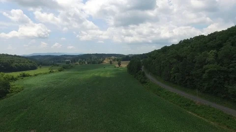 Higher shot of a cornfield Video stock 92674203