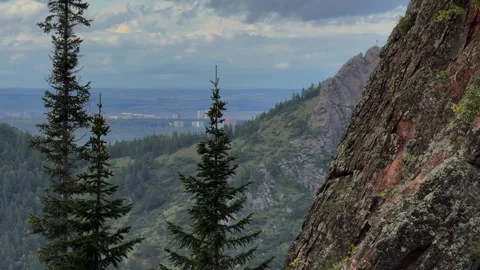 Higher than the trees Stock Footage 283469139