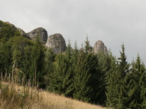 Higherst point cliffs near Babin Zub in Eastern Serbia Stock Footage 81880824