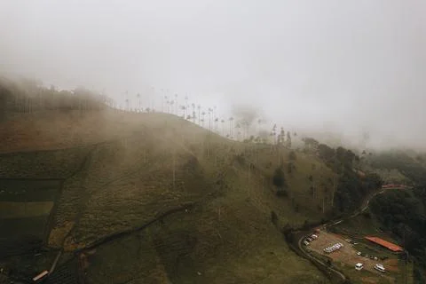 Highest Coconut Palm Trees Cocora Valley in Salento, Disney Village in Colombia Stock Photos