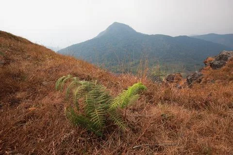The highest point has mountains and the sky as the background. Foto stock