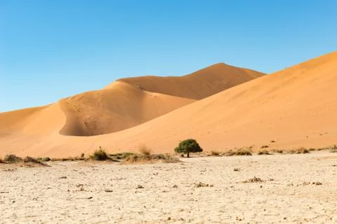 Highest point (peak) of the Big Daddy dune at Sossusvlei Stock Photos